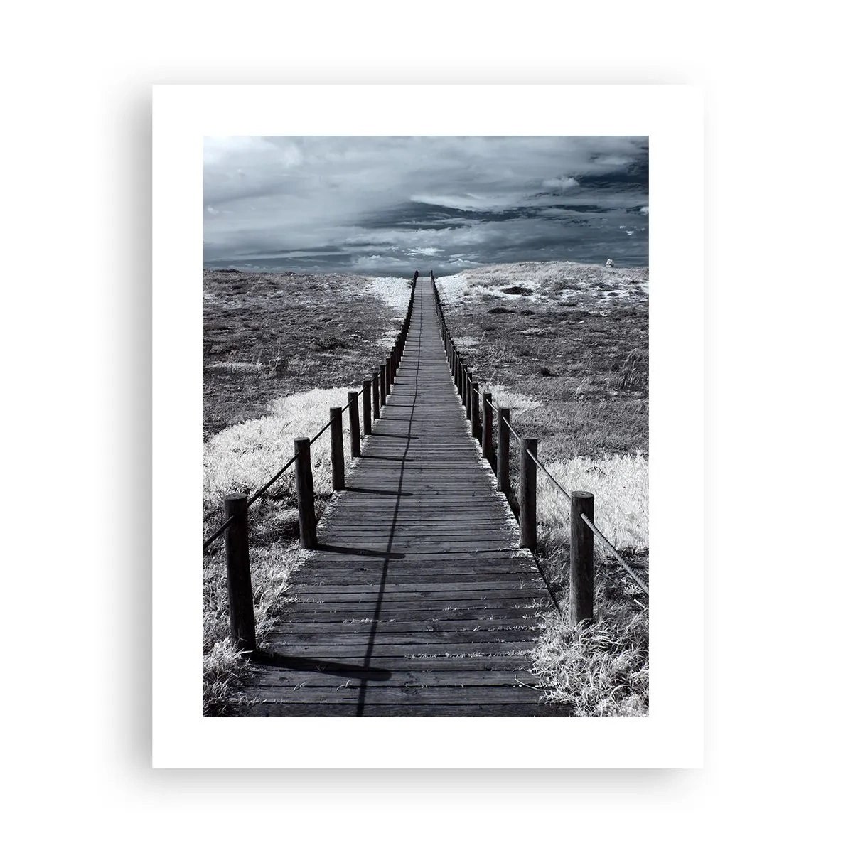 Poster - Direkt ans Ufer - 40x50 cm