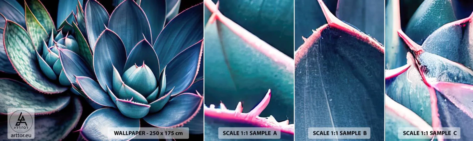 Fototapeten Muster Selbstklebend Deluxe Sticker - Lebenskraft - Blumen, Botanik, Sukkulenten - 100x30 cm