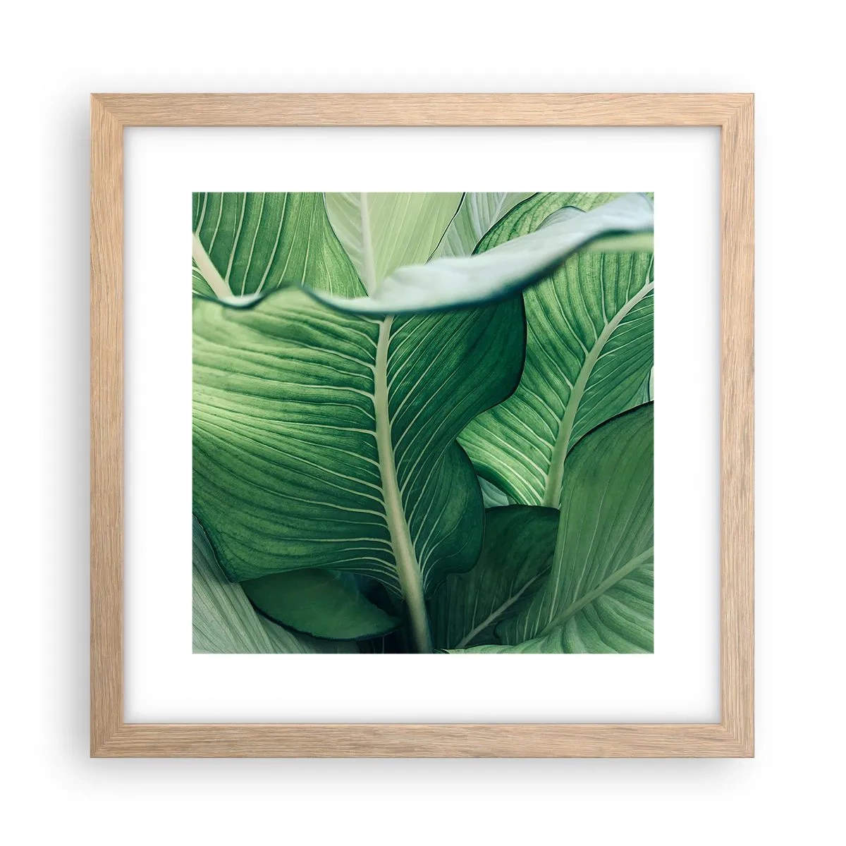 Poster in einem Rahmen aus heller Eiche - Intensiv grünes Leben - 30x30 cm