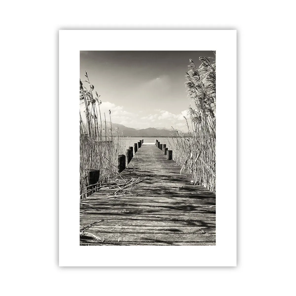 Poster - In der Stille des Grases - 30x40 cm