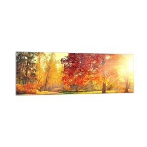 Glasbild - Bild auf glas - Herbstpark im Sonnenlicht - 160x50cm - Unhöflich ist schön - Moderne Wanddekoration für Wohnzimmer und Schlafzimmer ARTTOR