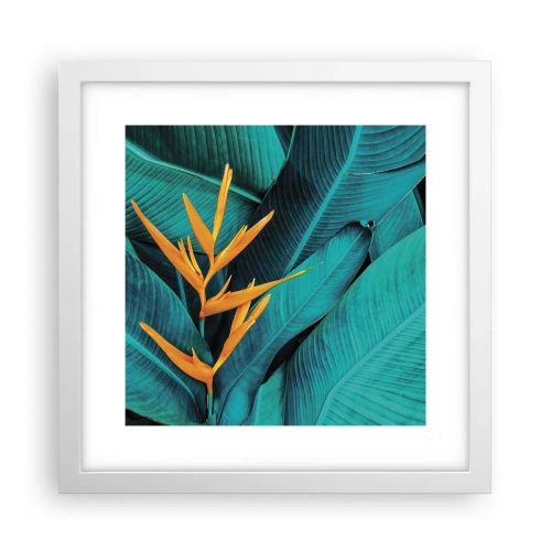 Poster in einem weißen Rahmen - Eden-Blume - 30x30 cm