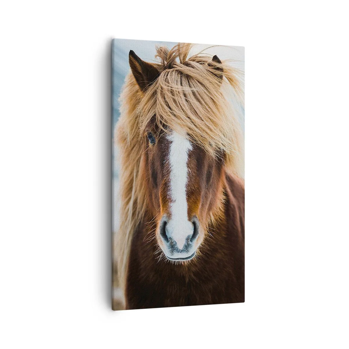 Bild auf Leinwand - Leinwandbild - Spürst du die Freiheit? - 55x100 cm