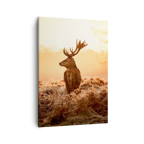 Bild auf Leinwand - Leinwandbild - Hirsch in den Strahlen der aufgehenden Sonne - 50x70cm - Herr im eigenen Land - Moderne Wanddekoration für Wohnzimmer und Schlafzimmer ARTTOR