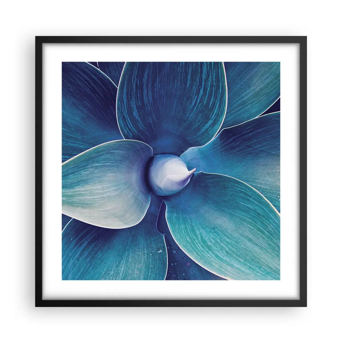 Poster in einem schwarzem Rahmen - Bläulich vom Himmel - 50x50 cm