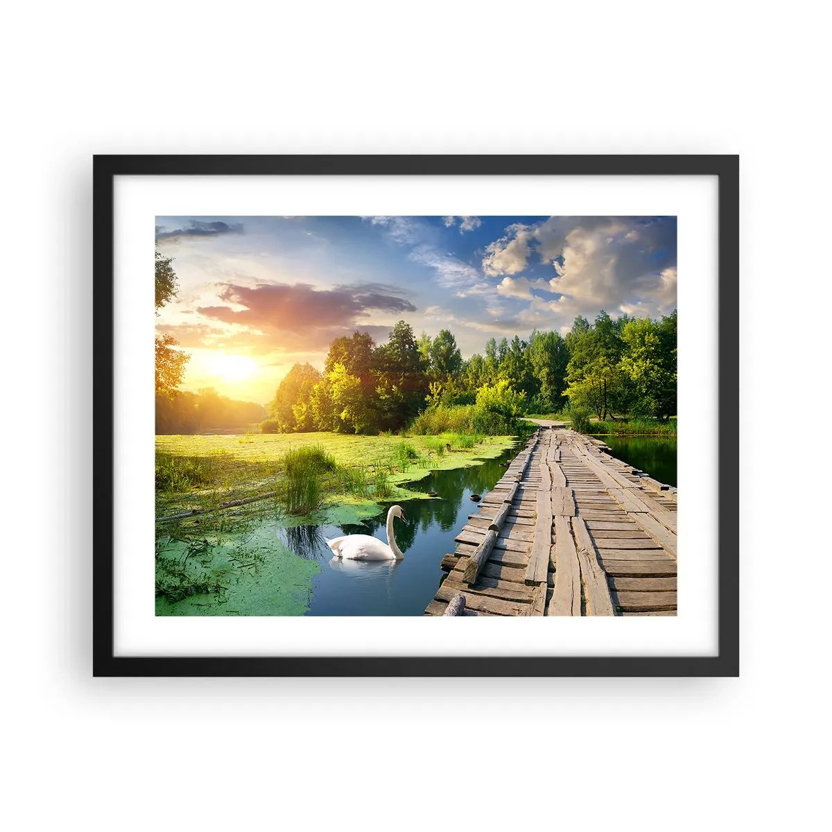 Poster in einem schwarzem Rahmen - Sommer, Sommer überall - 50x40 cm