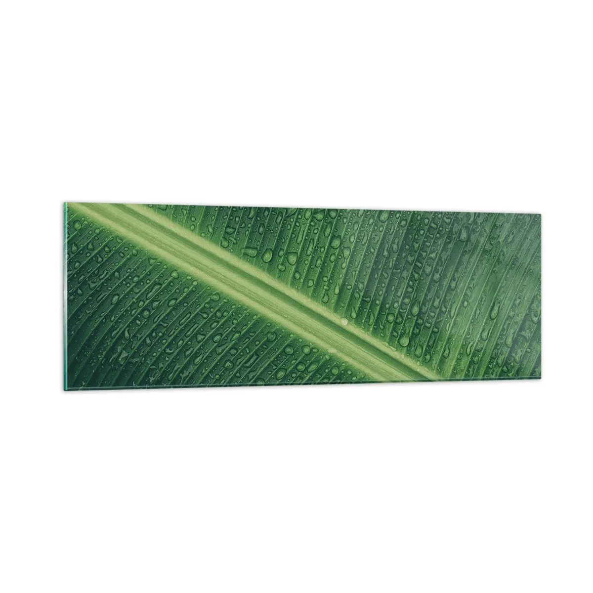 Glasbild - Bild auf glas - Die Struktur des Grüns - 90x30 cm