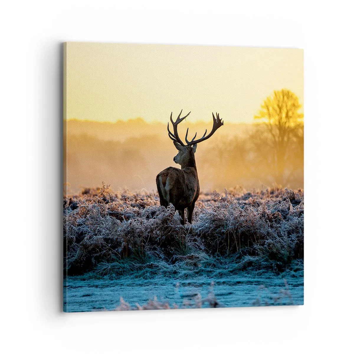 Bild auf Leinwand - Leinwandbild - Gekrönt auf seinem Besitz - 70x70 cm