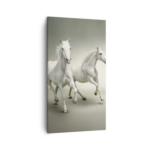 Bild auf Leinwand - Leinwandbild - Weiße Macht! - 45x80 cm