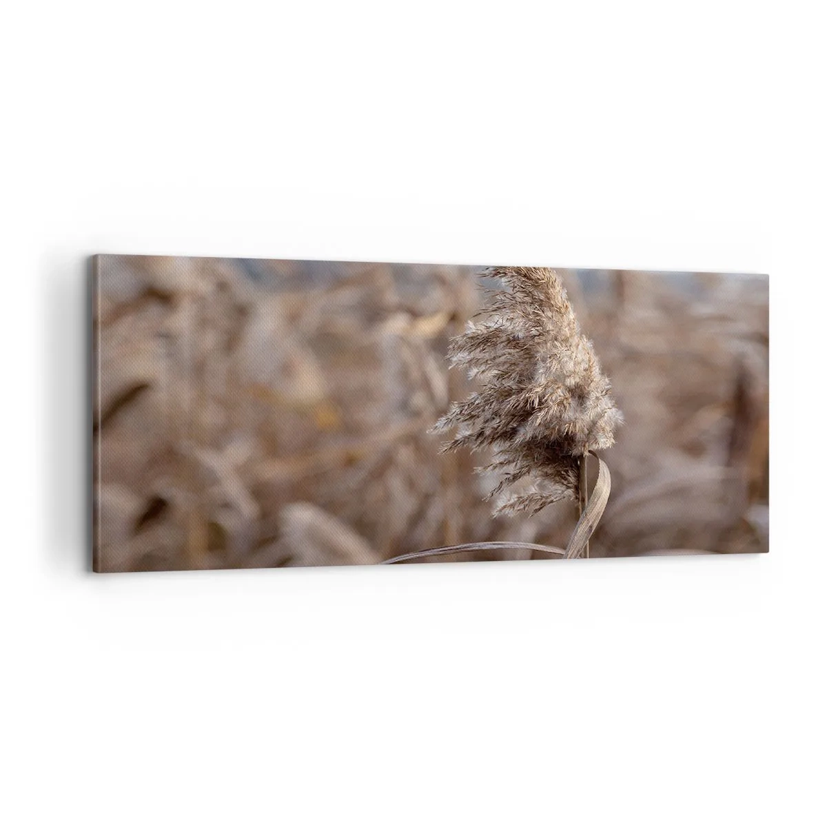 Bild auf Leinwand - Leinwandbild - Zeit, mit dem Wind zu gehen - 100x40 cm