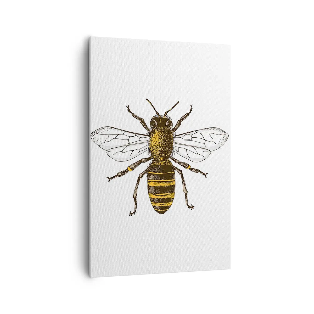 Bild auf Leinwand - Leinwandbild - Detaillierte Darstellung einer Biene auf weißem Hintergrund - 80x120cm - Schön und gut - Moderne Wanddekoration für Wohnzimmer und Schlafzimmer ARTTOR