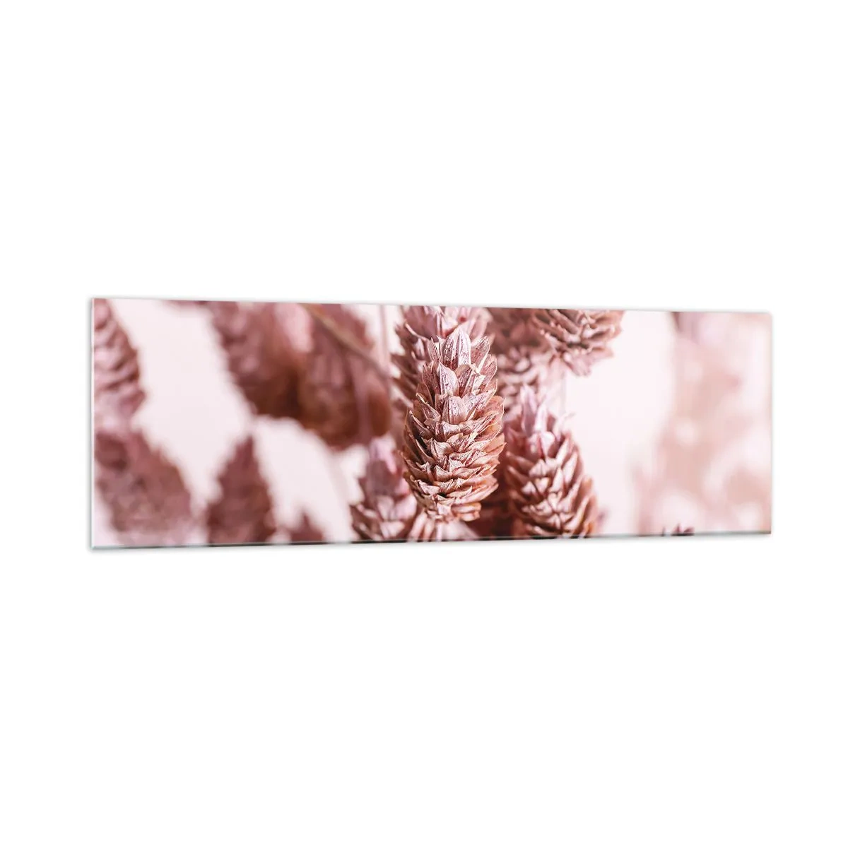 Glasbild - Bild auf glas - Eine Nahaufnahme der zarten rosa Ähren von Ziergräsern - 160x50cm - Scheinbar unauffällig - Moderne Wanddekoration für Wohnzimmer und Schlafzimmer ARTTOR