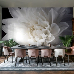 Fototapete Standard Eco - Der Morgen der Braut - Blume, Dahlie, Natur - 300x210 cm