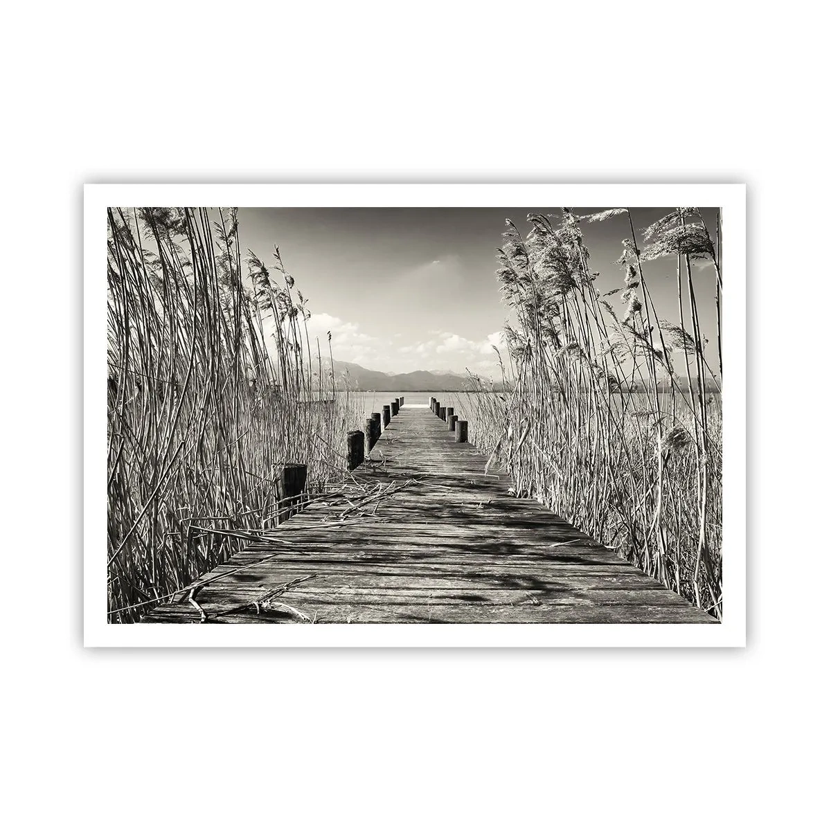 Poster - Ein Holzsteg zwischen hohen Gräsern über einem sepiafarbenen See - 100x70cm - In der Stille des Grases - Moderne Wanddekoration für Wohnzimmer und Schlafzimmer ARTTOR