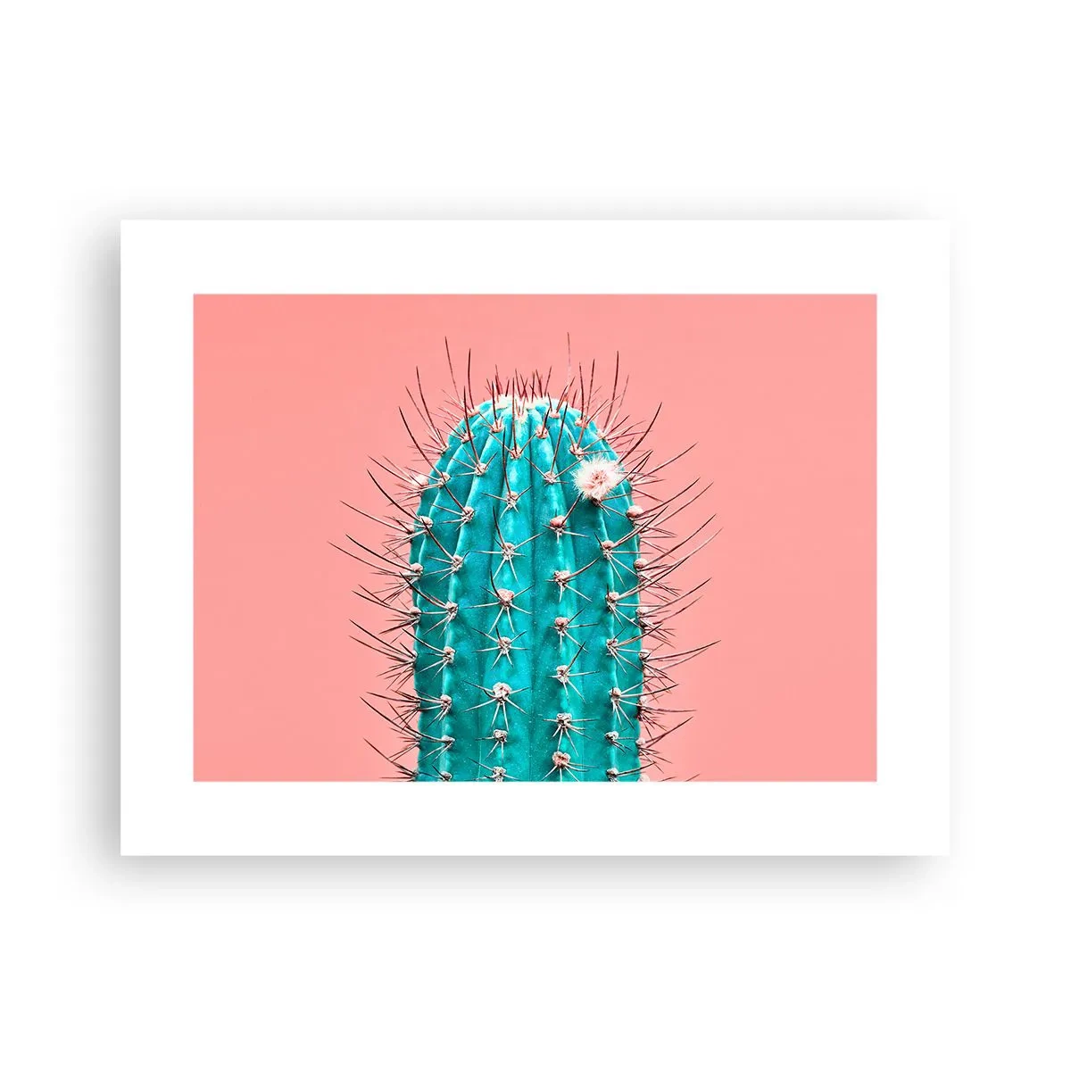 Poster - Schau einfach hin - 40x30 cm