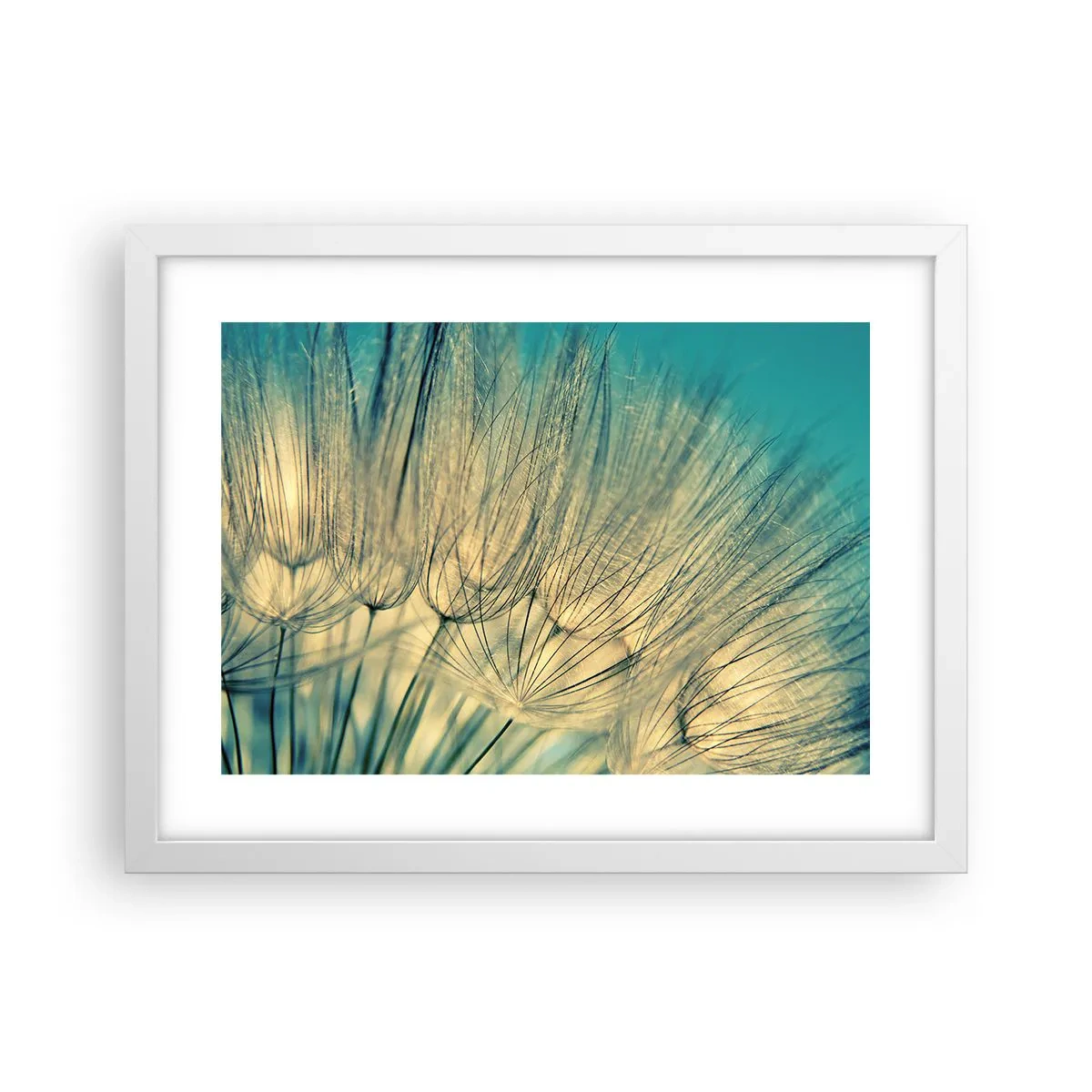 Poster in einem weißen Rahmen - In Erwartung des Windes - 40x30 cm