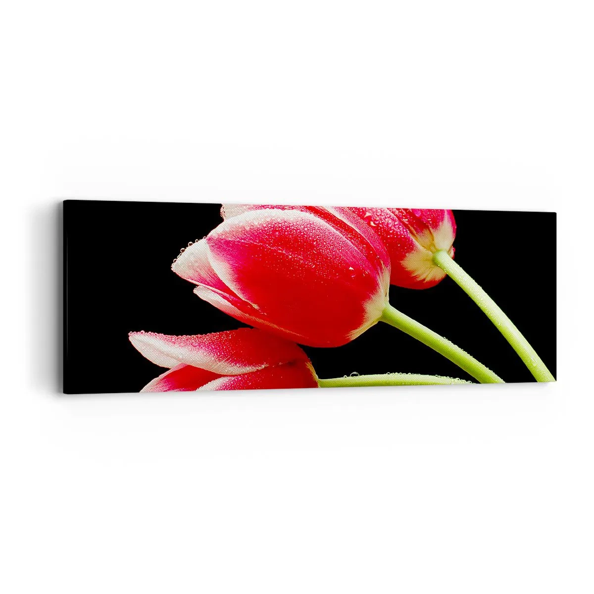 Bild auf Leinwand - Leinwandbild - Ein Versprechen der reinen Liebe - 90x30 cm