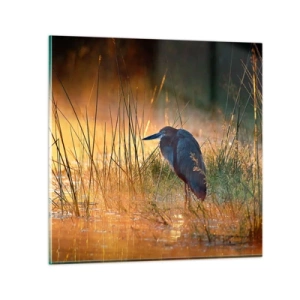 Glasbild - Bild auf glas - Komm, gib mir eine Pause mit diesen Fotos - 40x40 cm