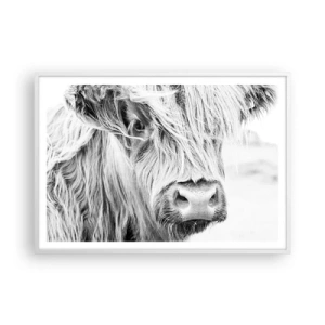 Poster in einem weißen Rahmen - Schottische Wildheit - 100x70 cm