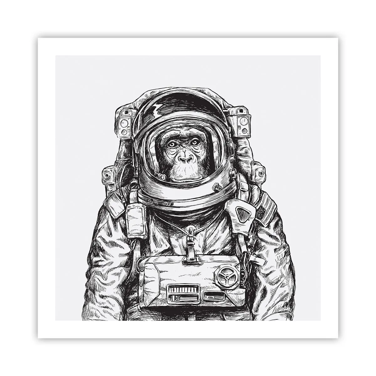 Poster - Alternative Evolution - 60x60 cm