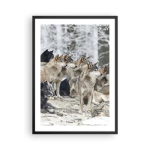 Poster in einem schwarzem Rahmen - Eine Gruppe Wölfe im Winterwald - 50x70cm - Familie und Freunde - Moderne Wanddekoration für Wohnzimmer und Schlafzimmer ARTTOR