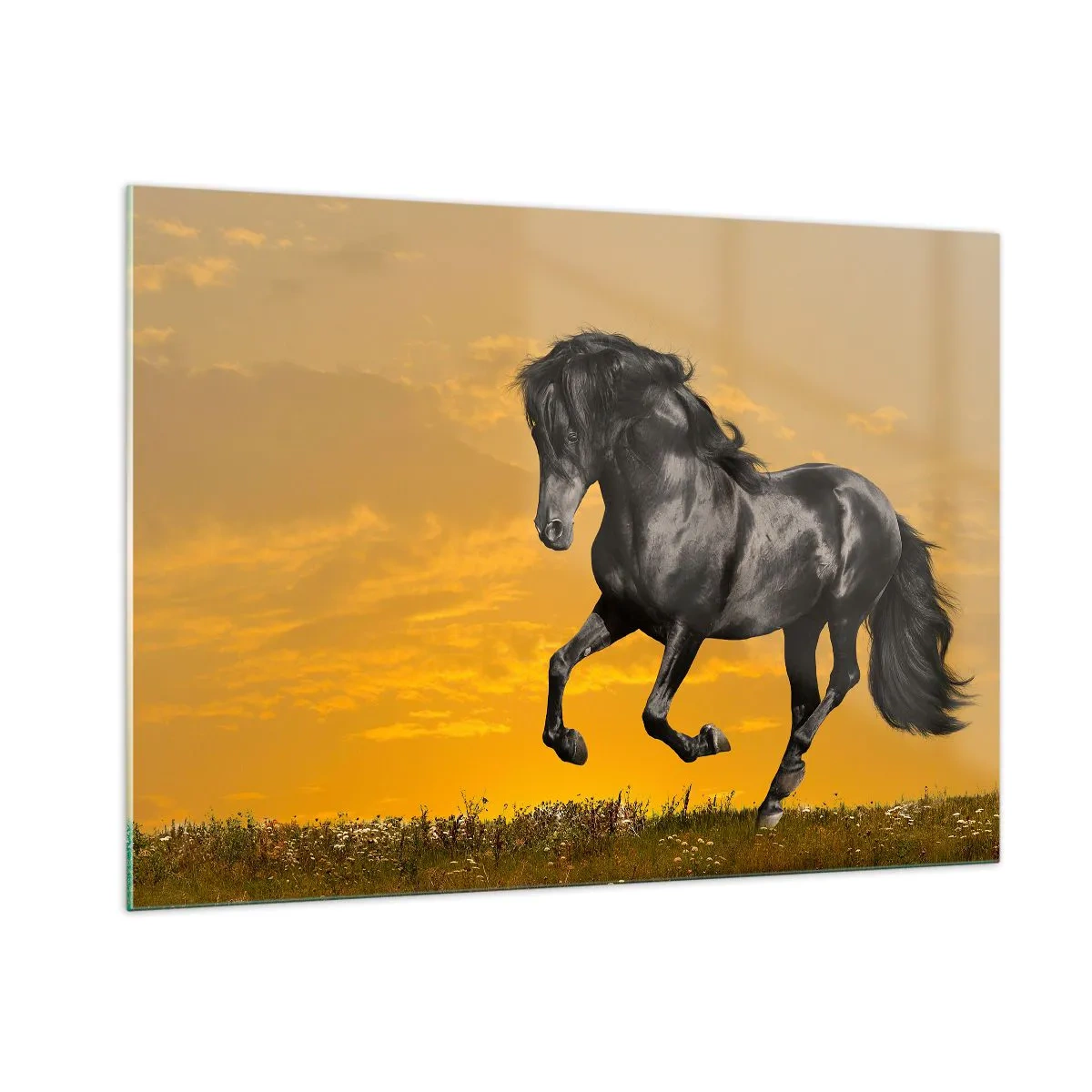 Glasbild - Bild auf glas - Ein schwarzes Pferd galoppiert gegen die untergehende Sonne - 100x70cm - Schön, frei und wild - Moderne Wanddekoration für Wohnzimmer und Schlafzimmer ARTTOR