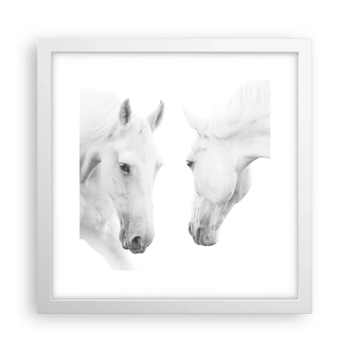 Poster in einem weißen Rahmen - Ist das Freundschaft...? - 30x30 cm