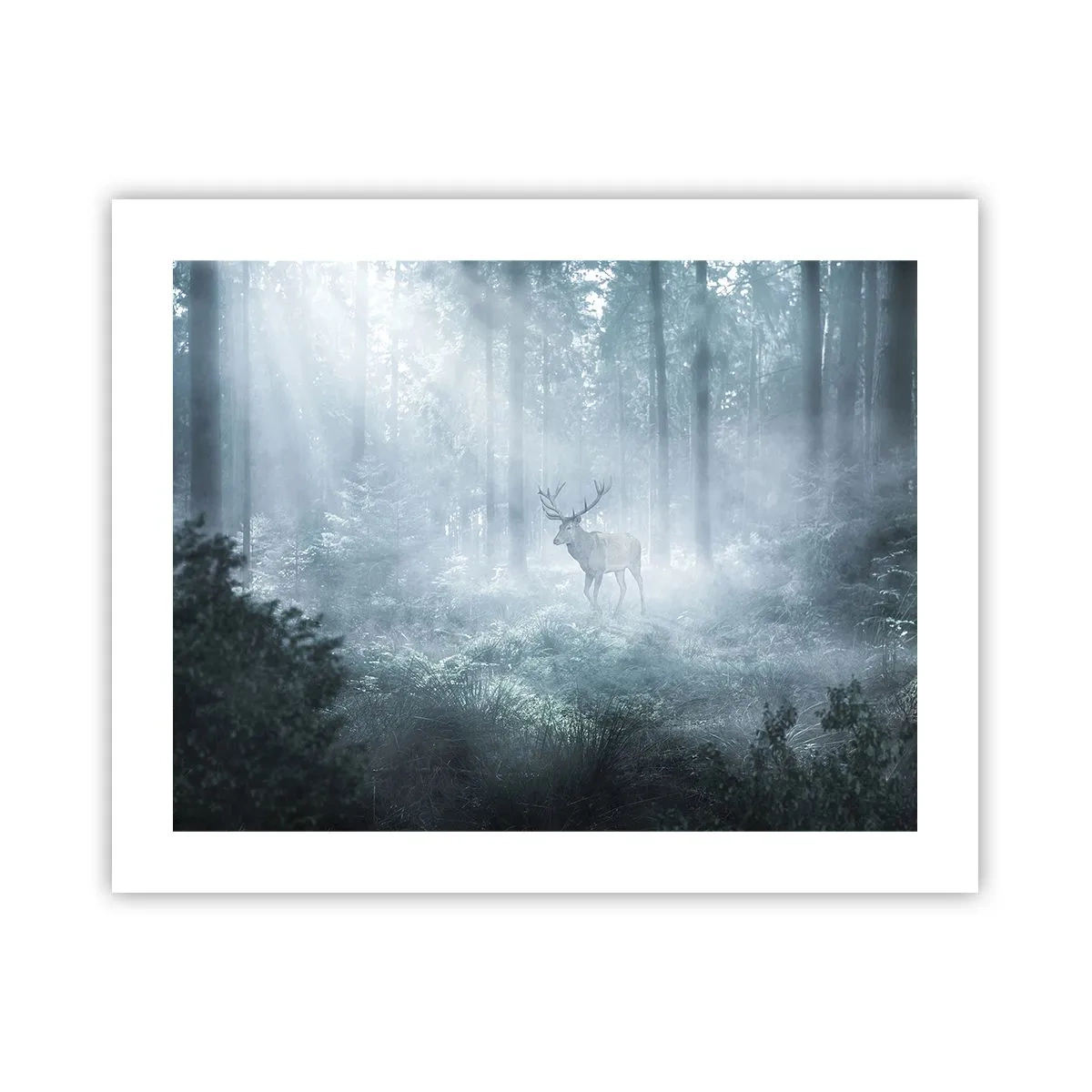 Poster - Morgenvisite auf dem Grundstück - 50x40 cm