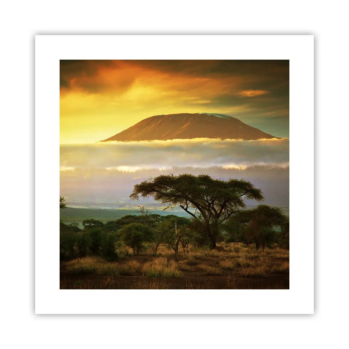 Poster - Ein Reisetraum - 40x40 cm