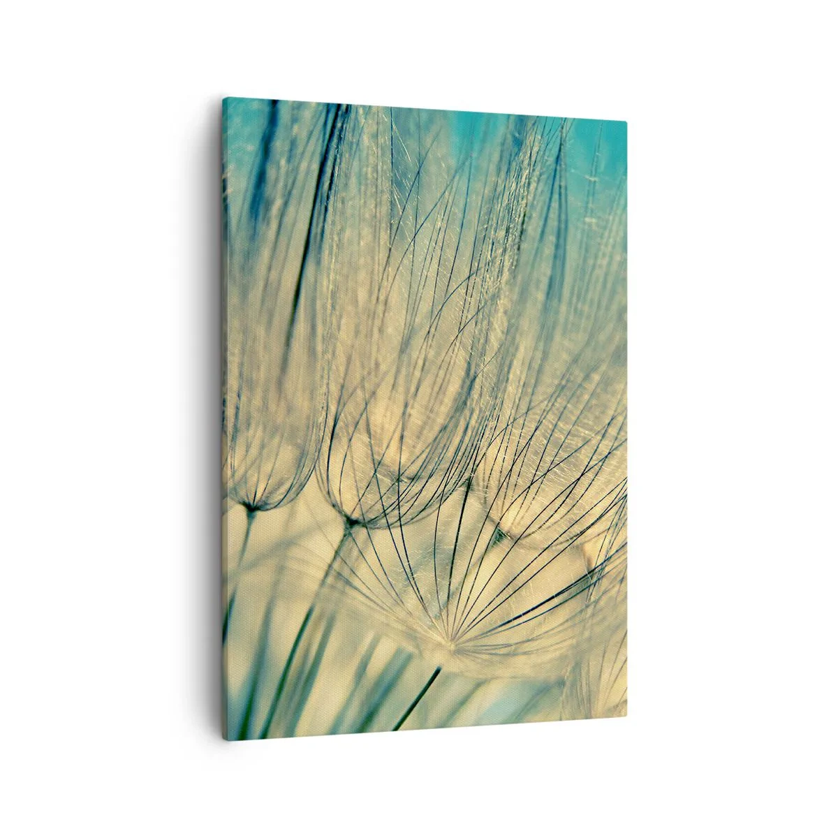 Bild auf Leinwand - Leinwandbild - Makrofotografie von Löwenzahn bei Tageslicht - 50x70cm - In Erwartung des Windes - Moderne Wanddekoration für Wohnzimmer und Schlafzimmer ARTTOR