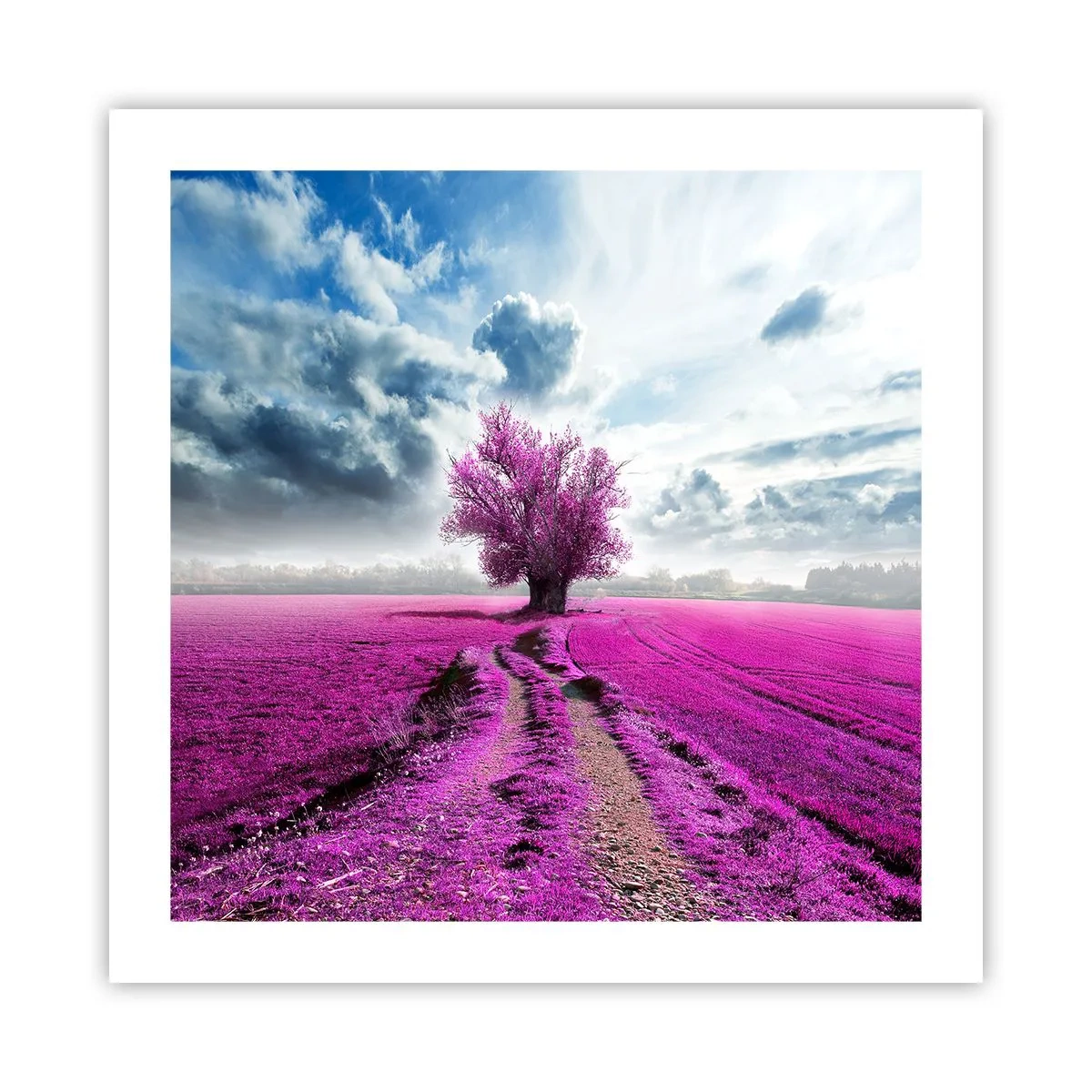 Poster - Heide - Wildnis - 50x50 cm