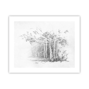 Poster - Das Licht des Birkenwaldes - 50x40 cm