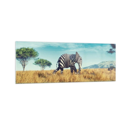 Glasbild - Bild auf glas - Zebra in einer afrikanischen Landschaft - 140x50cm - Grau ist nicht mehr in Mode - Moderne Wanddekoration für Wohnzimmer und Schlafzimmer ARTTOR