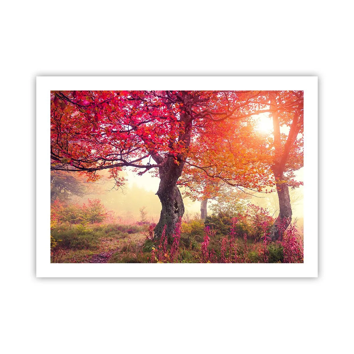 Poster - Blühende Raserei - 70x50 cm