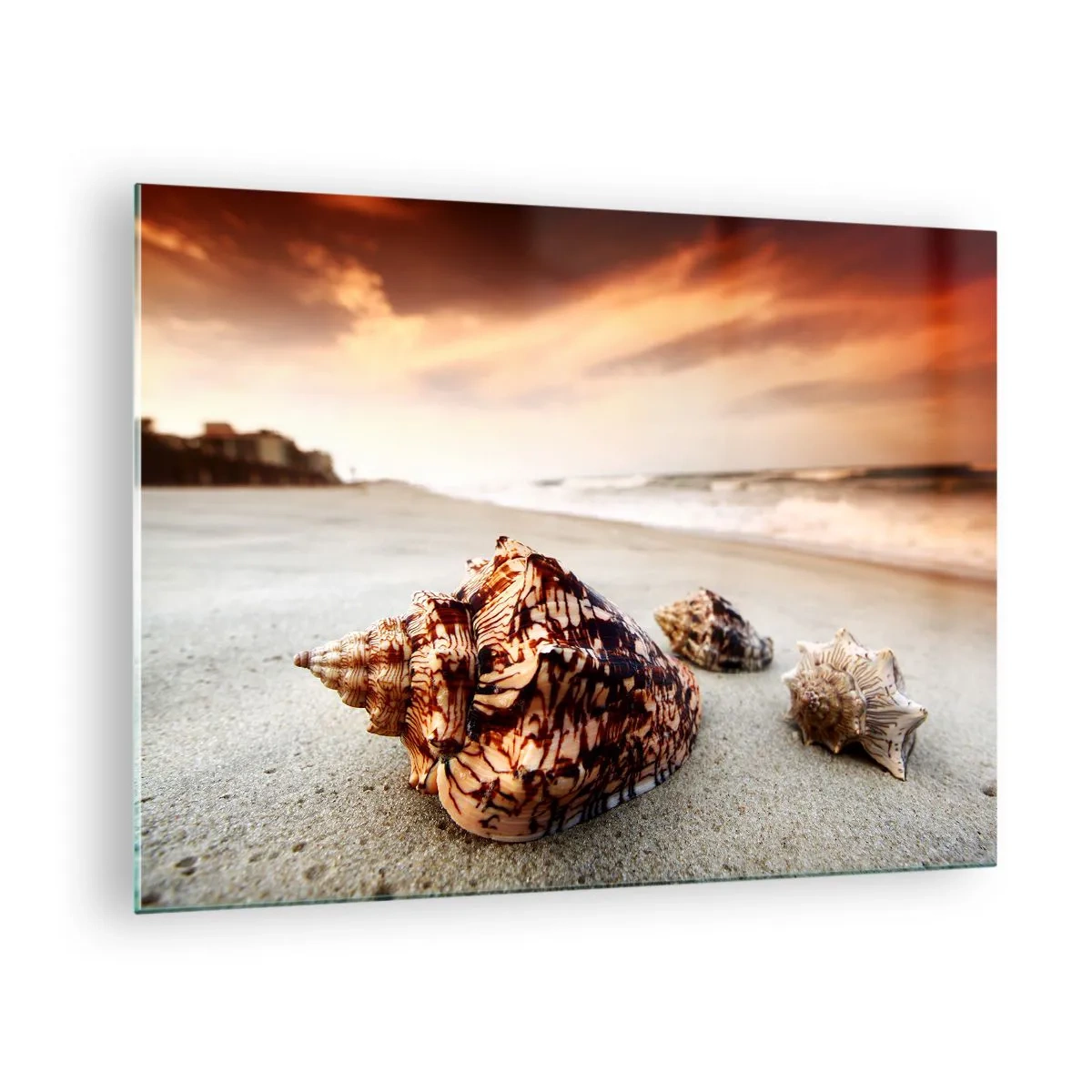 Glasbild - Bild auf glas - Muscheln am Strand bei Sonnenuntergang - 70x50cm - Ausgestoßene von Wellen - Moderne Wanddekoration für Wohnzimmer und Schlafzimmer ARTTOR
