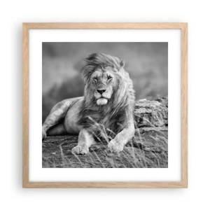 Poster in einem Rahmen aus heller Eiche - Königliche Siesta - 40x40 cm