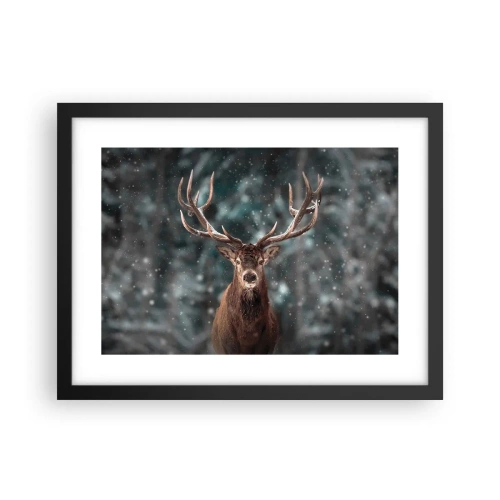 Poster in einem schwarzem Rahmen - Gekrönter König des Waldes - 40x30 cm