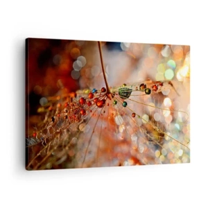 Bild auf Leinwand - Leinwandbild - Makrofotografie eines Wassertropfens auf einer zarten Pflanze - 70x50cm - Auf einem Spinnenfaden aufgefädelt - Moderne Wanddekoration für Wohnzimmer und Schlafzimmer ARTTOR