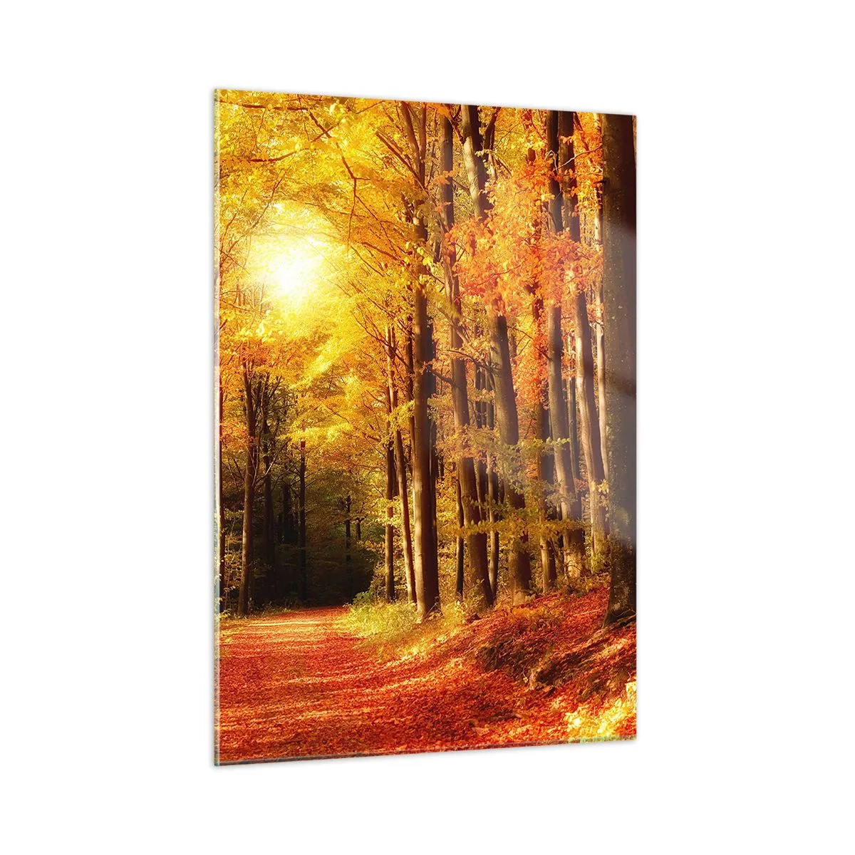 Glasbild - Bild auf glas - Herbstwald in goldenes Sonnenlicht getaucht - 50x70cm - Goldener Herbst auf einer Forststraße - Moderne Wanddekoration für Wohnzimmer und Schlafzimmer ARTTOR