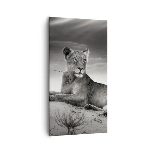 Bild auf Leinwand - Leinwandbild - Die Königin der Wüstenruhe - 55x100 cm
