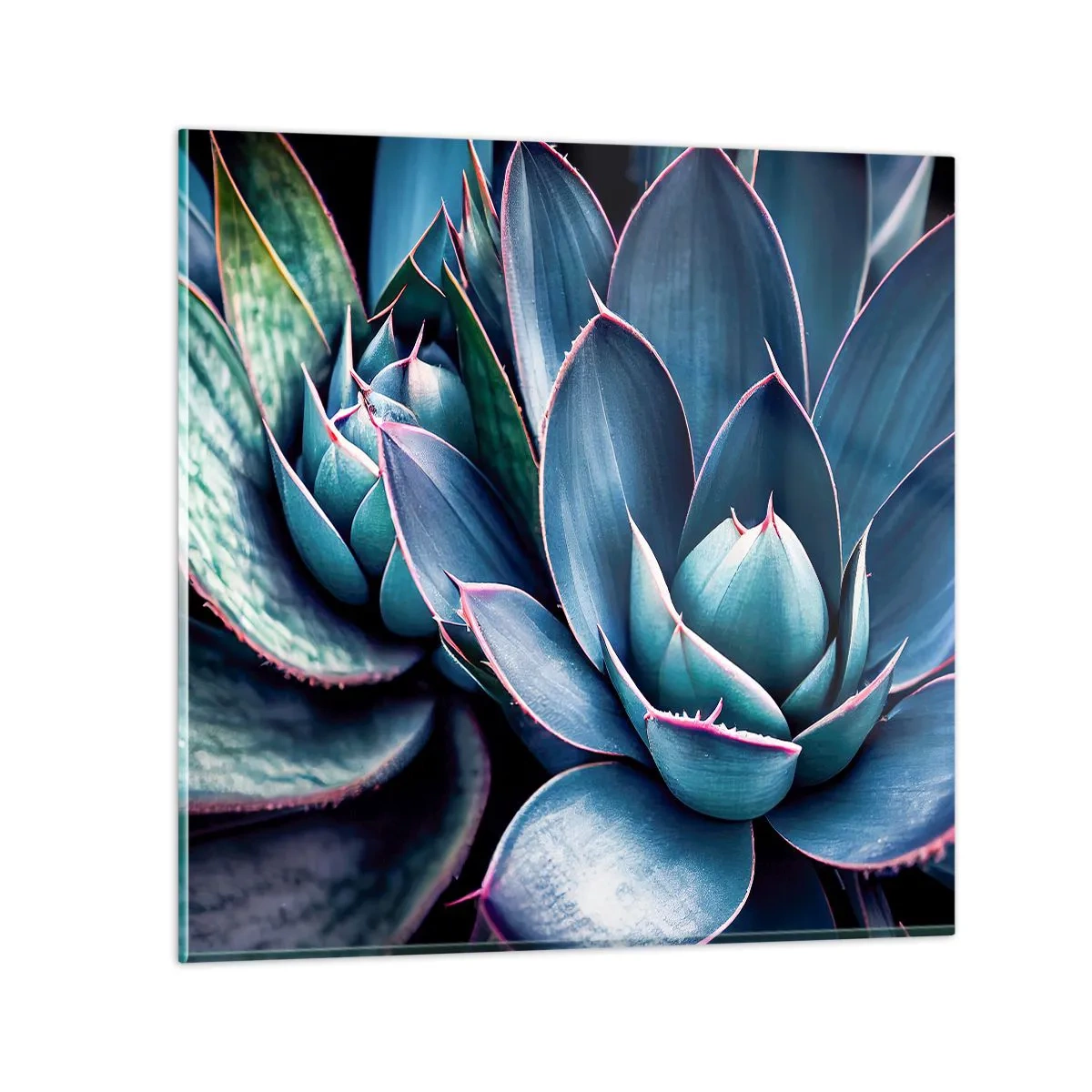 Glasbild - Bild auf glas - Lebenskraft - 60x60 cm