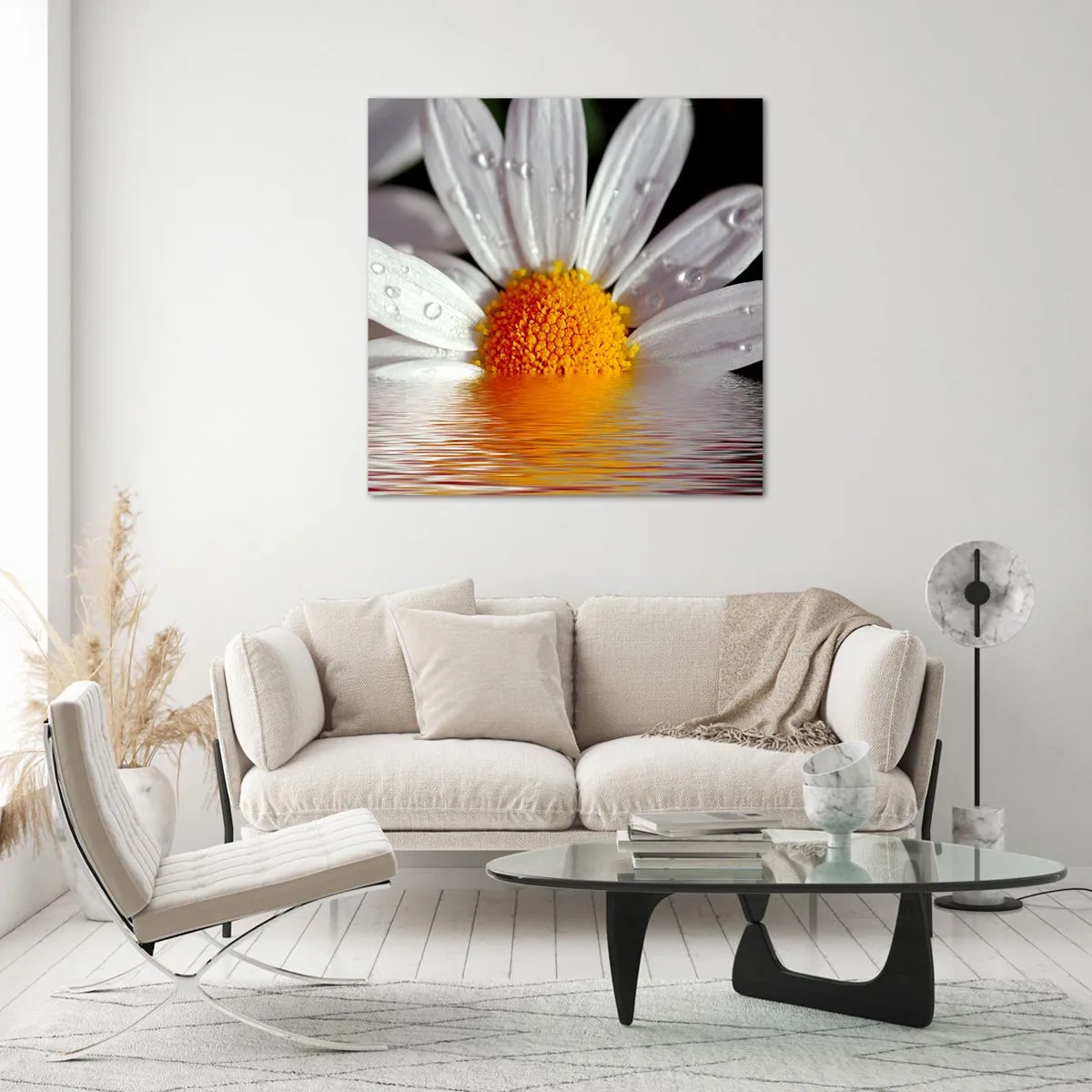 Glasbild - Bild auf glas - Die aufgehende Sonne der Gänseblümchen - 50x50 cm