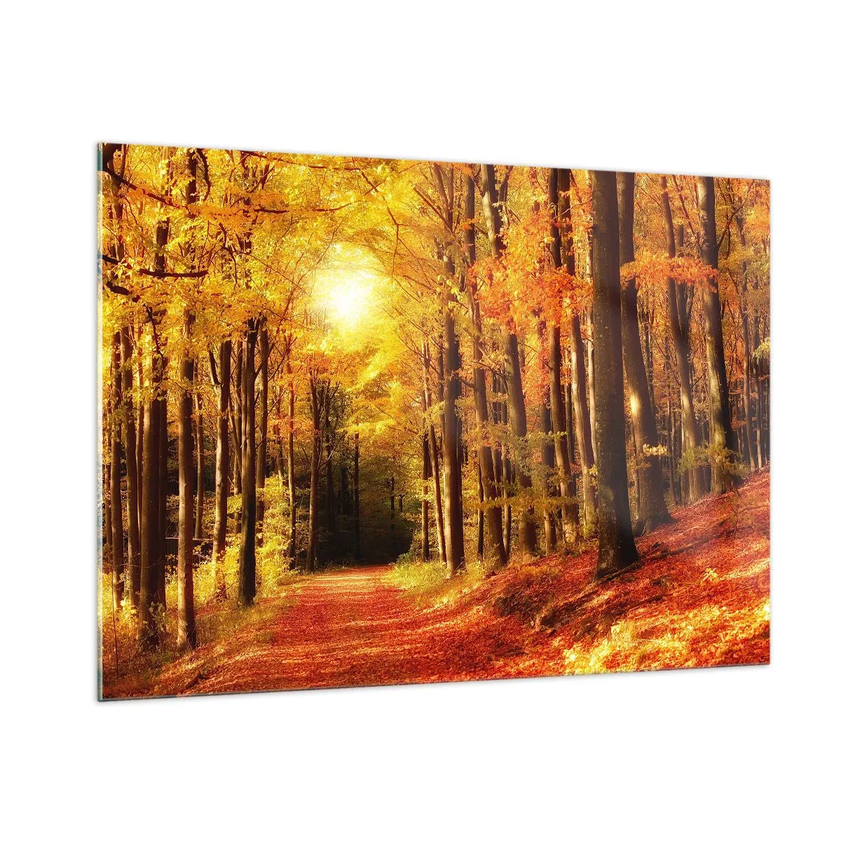 Glasbild - Bild auf glas - Herbstwald in goldenes Sonnenlicht getaucht - 100x70cm - Goldener Herbst auf einer Forststraße - Moderne Wanddekoration für Wohnzimmer und Schlafzimmer ARTTOR