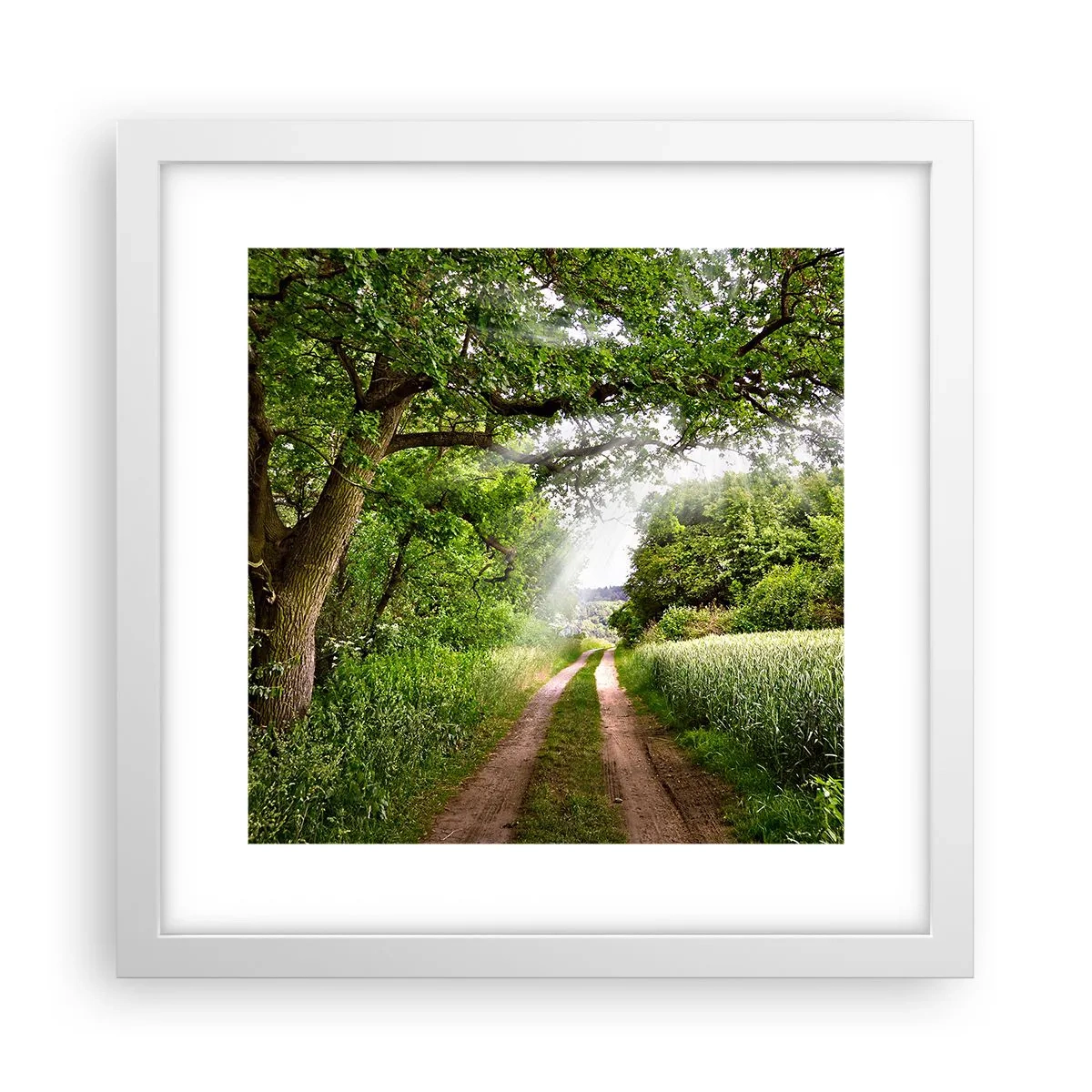 Poster in einem weißen Rahmen - Et in Arcadia ego - 30x30 cm