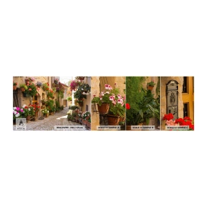 Fototapeten Muster Selbstklebend Deluxe Sticker - In der Flut Blumen - Stadt, Italien, Schöne Straßen - 100x30 cm
