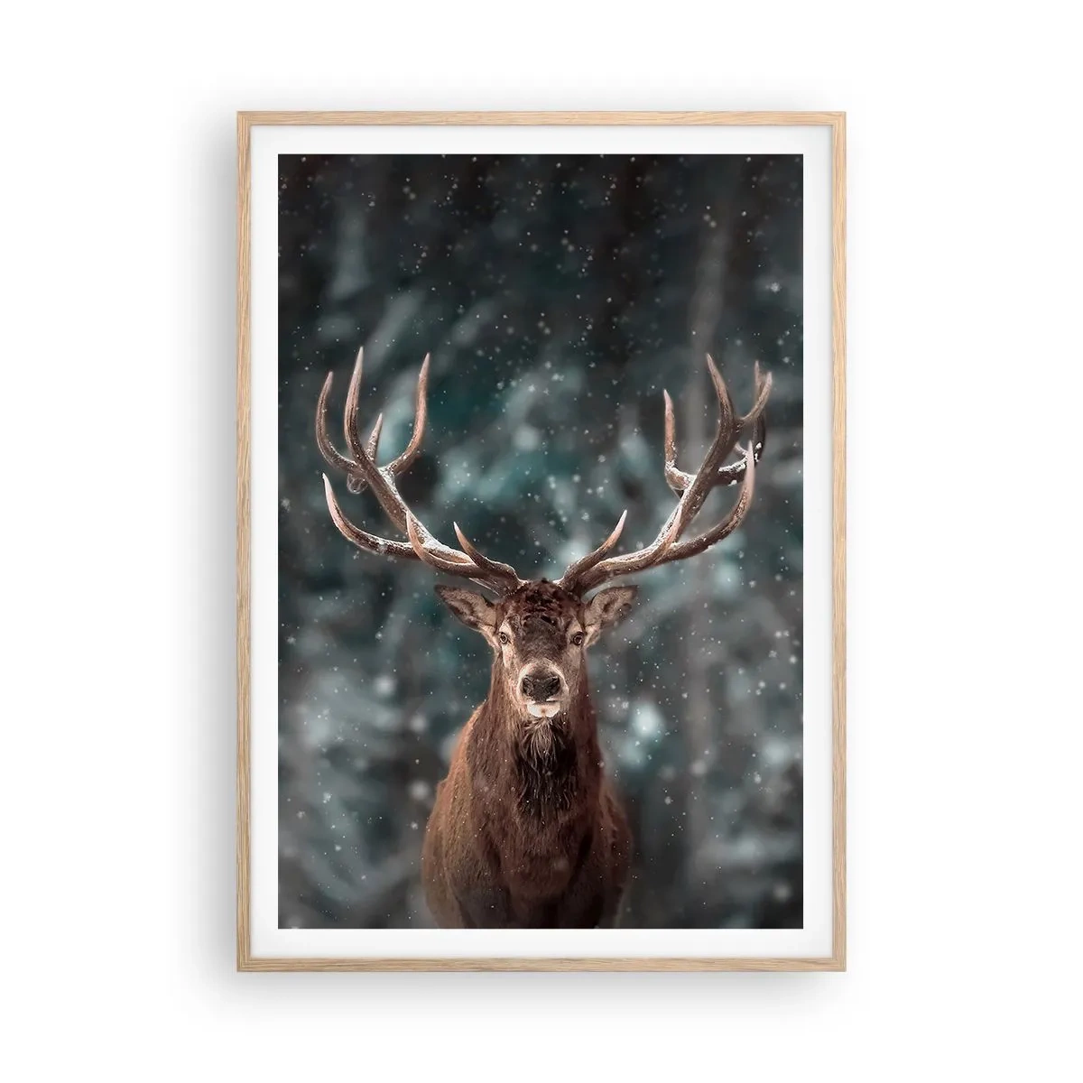 Poster in einem Rahmen aus heller Eiche - Gekrönter König des Waldes - 70x100 cm
