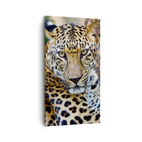 Bild auf Leinwand - Leinwandbild - Wild und ruhig - 45x80 cm
