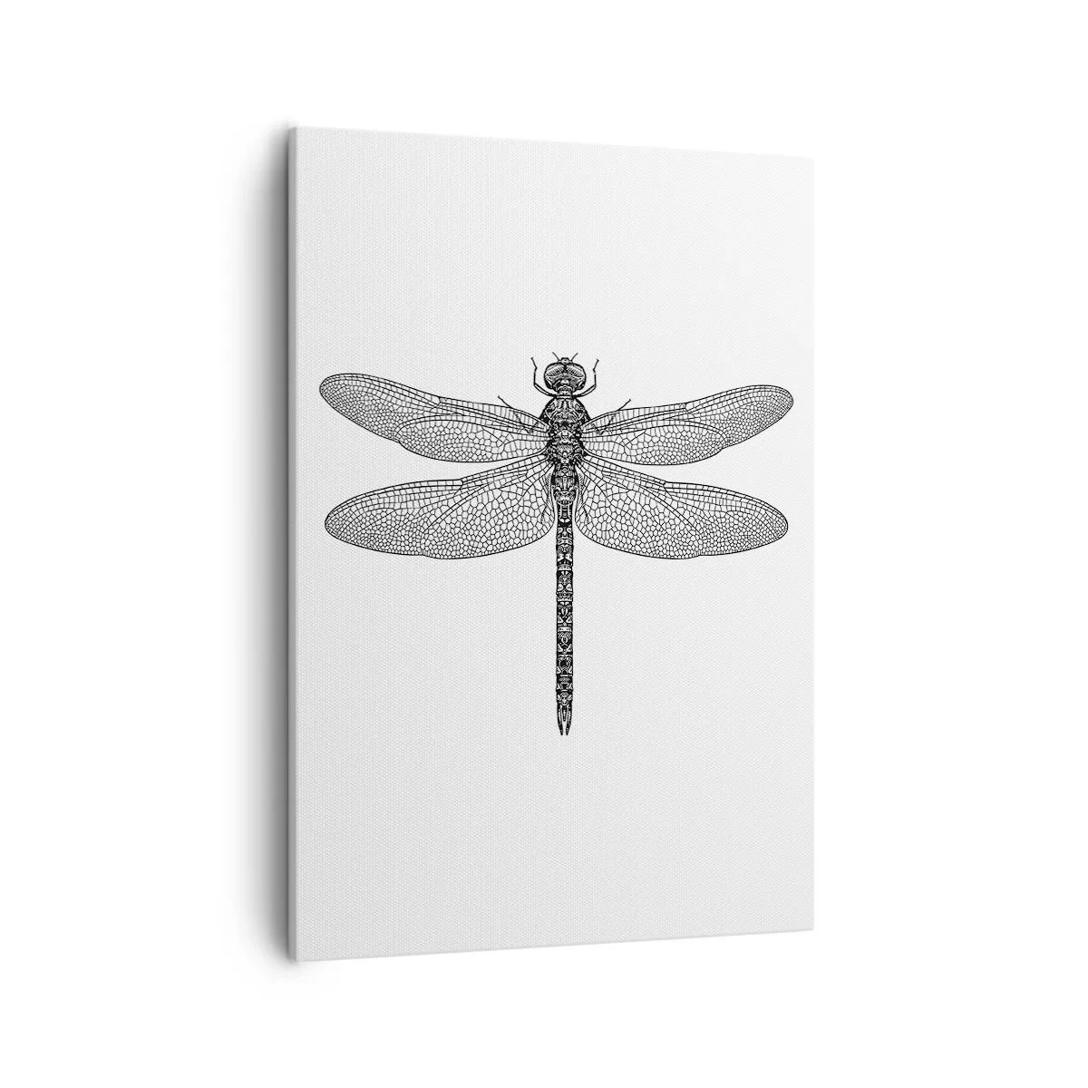 Bild auf Leinwand - Leinwandbild - Schwarz-weiße Zeichnung einer Libelle auf weißem Hintergrund im minimalistischen Stil - 50x70cm - Präzision der Natur - Moderne Wanddekoration für Wohnzimmer und Schlafzimmer ARTTOR