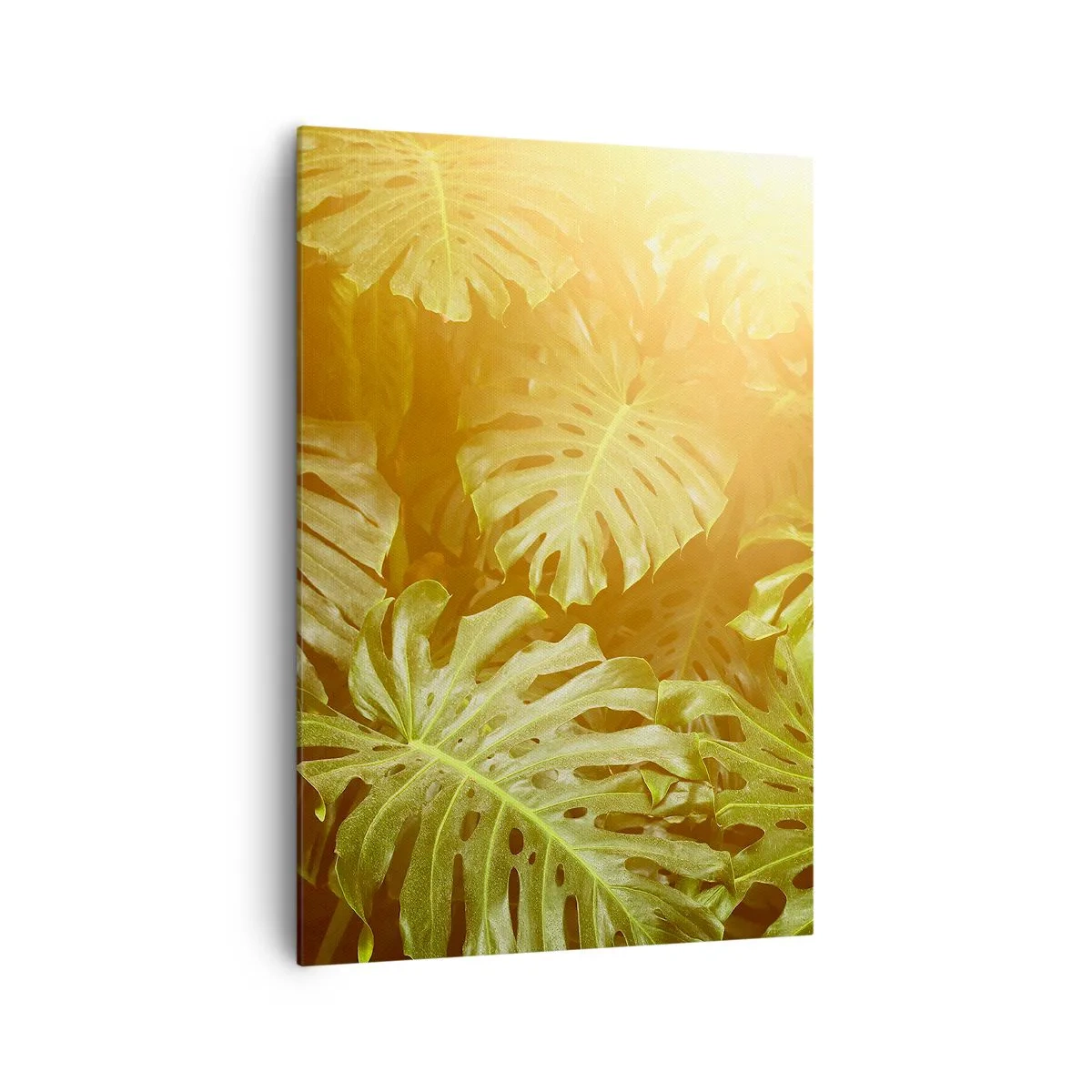 Bild auf Leinwand - Leinwandbild - Monstera-Blätter im Sonnenlicht vor einem natürlichen Hintergrund - 70x100cm - Ins Grüne tretren... - Moderne Wanddekoration für Wohnzimmer und Schlafzimmer ARTTOR