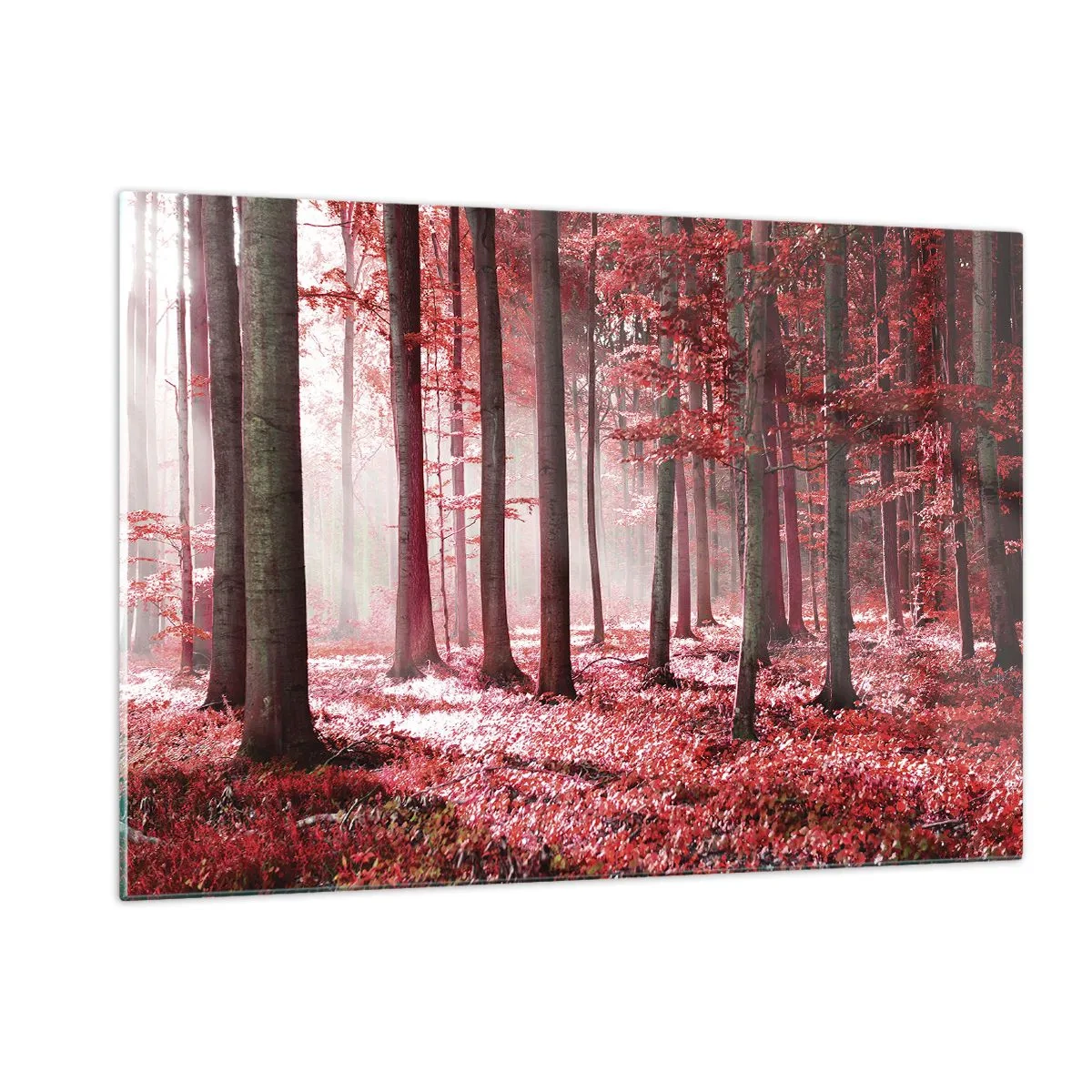 Glasbild - Bild auf glas - Herbstwald in roten Farben und Morgennebel - 120x80cm - Rot ist genauso schön - Moderne Wanddekoration für Wohnzimmer und Schlafzimmer ARTTOR